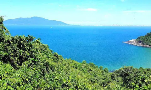 Gia đình tan nát vì video 'nóng' của chồng sau buổi họp lớp